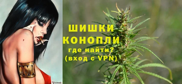 трава Аркадак