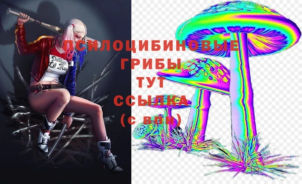мдпв Алзамай