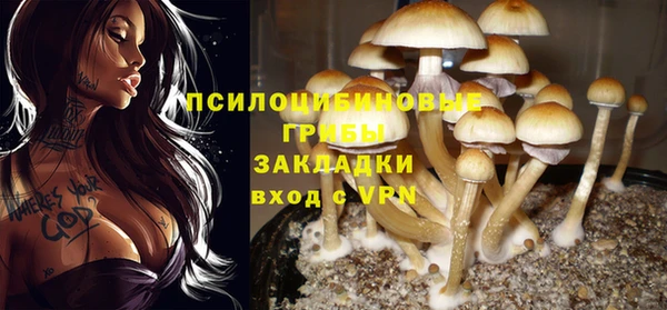 трава Аркадак