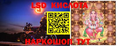 a pvp Бузулук