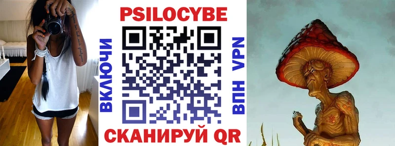 omg ТОР  Ленинск-Кузнецкий  Псилоцибиновые грибы Psilocybe 