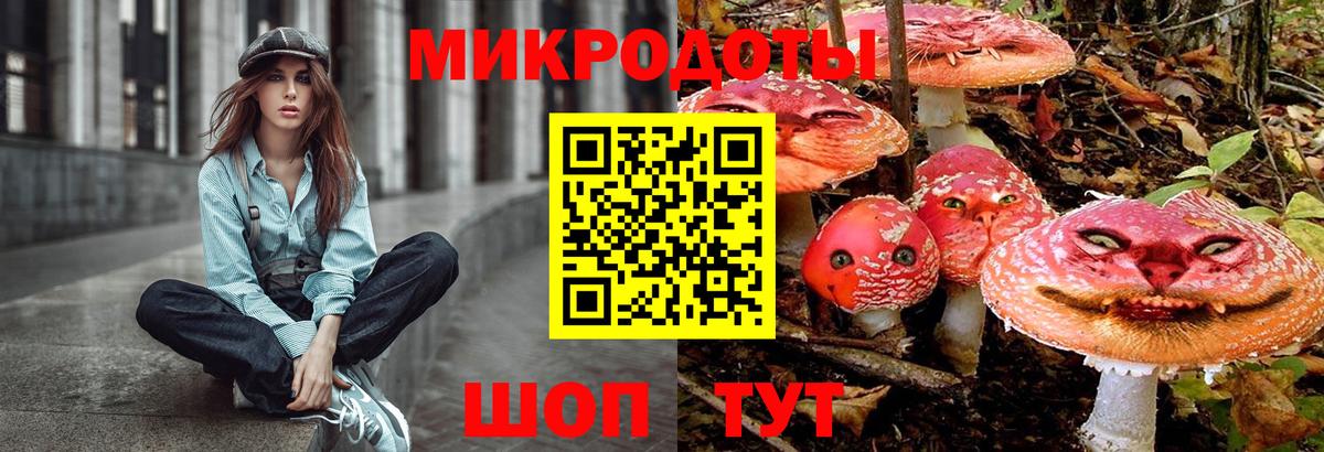 Псилоцибиновые грибы мицелий Ленинск-Кузнецкий