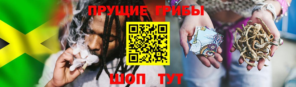 Ленинск-Кузнецкий  Галлюциногенные грибы Cubensis  Вход с VPN 