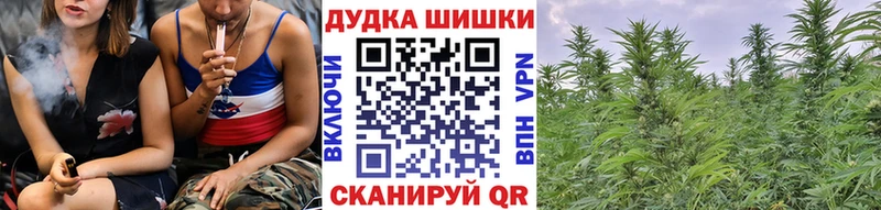 МЕГА   даркнет сайт  Ленинск-Кузнецкий  Конопля сатива 