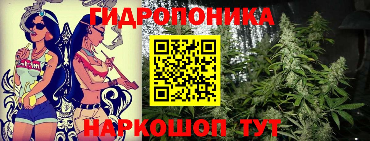 Марихуана ГИДРОПОН Ленинск-Кузнецкий